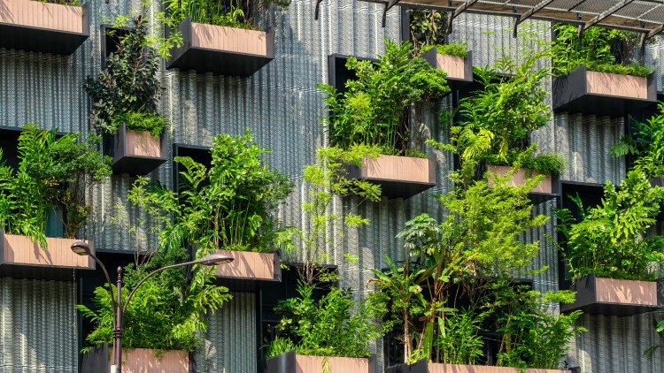 Post_Detailers_Certificaciones descarbonización_1500_844_1