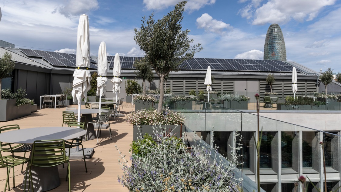 Post_Detailers_Certificaciones descarbonización_1500_844_3