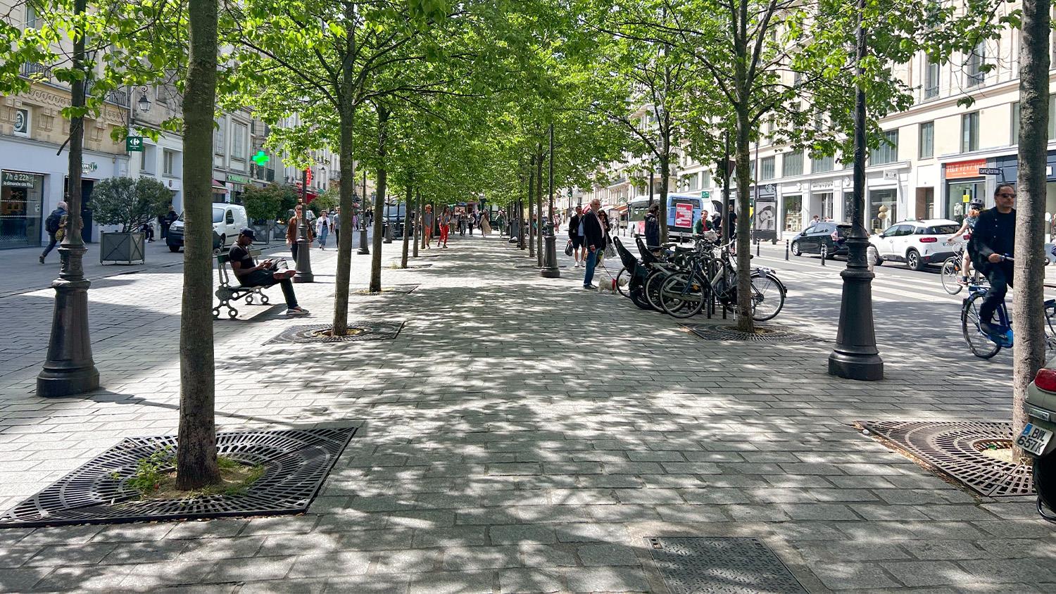 Post_Detailers_Ciudad esponja_2