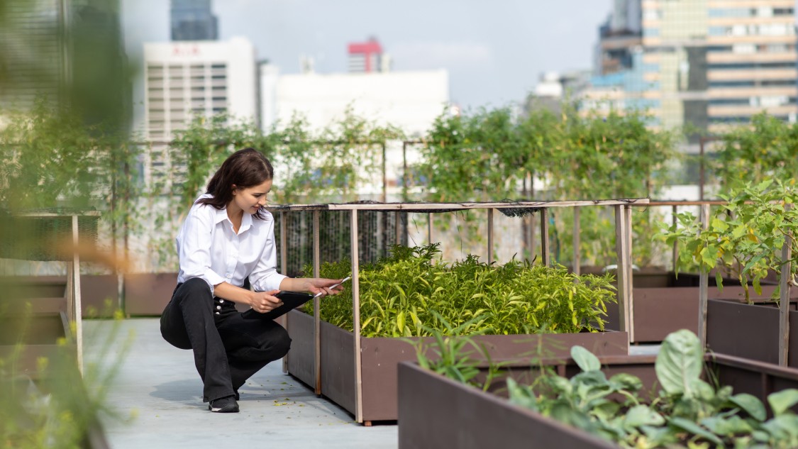 Reformas ecológicas y construcción circular_1500_844_1