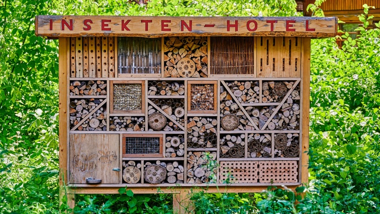 Reformas ecológicas y construcción circular_1500_844_2