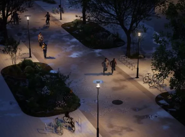 Importancia de la luz