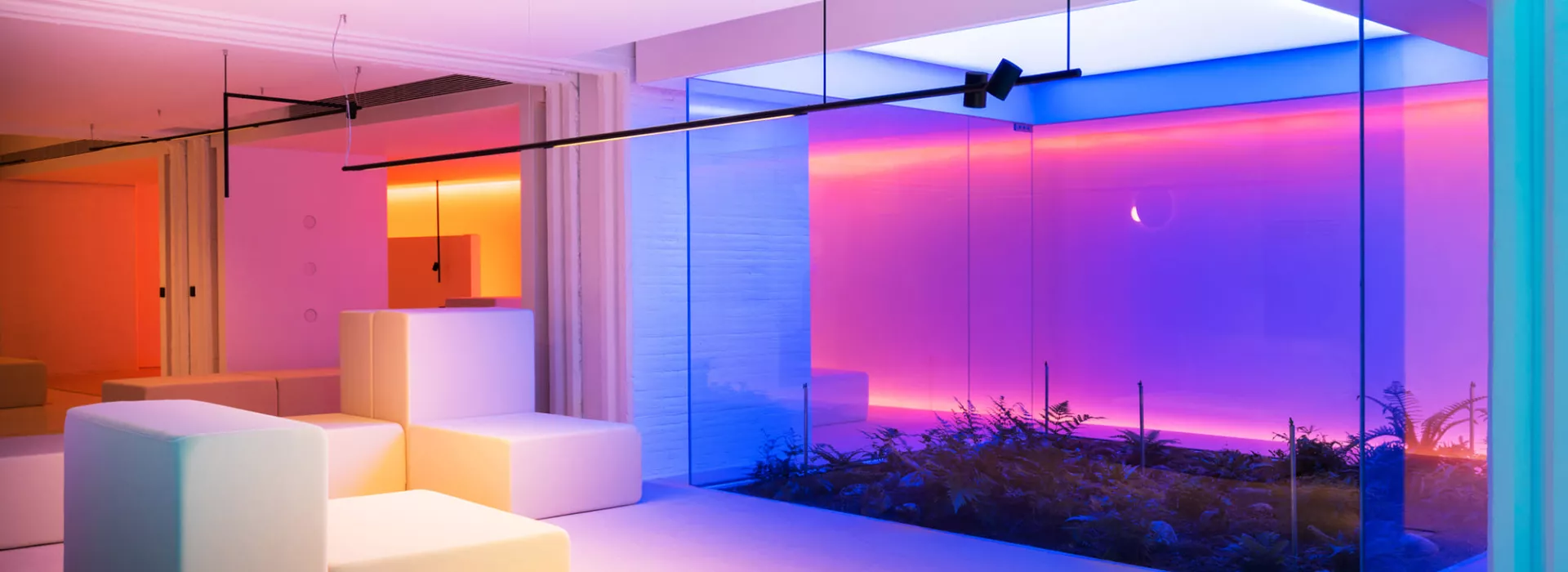 post_entrevista_sebastian_mealla_cabecera