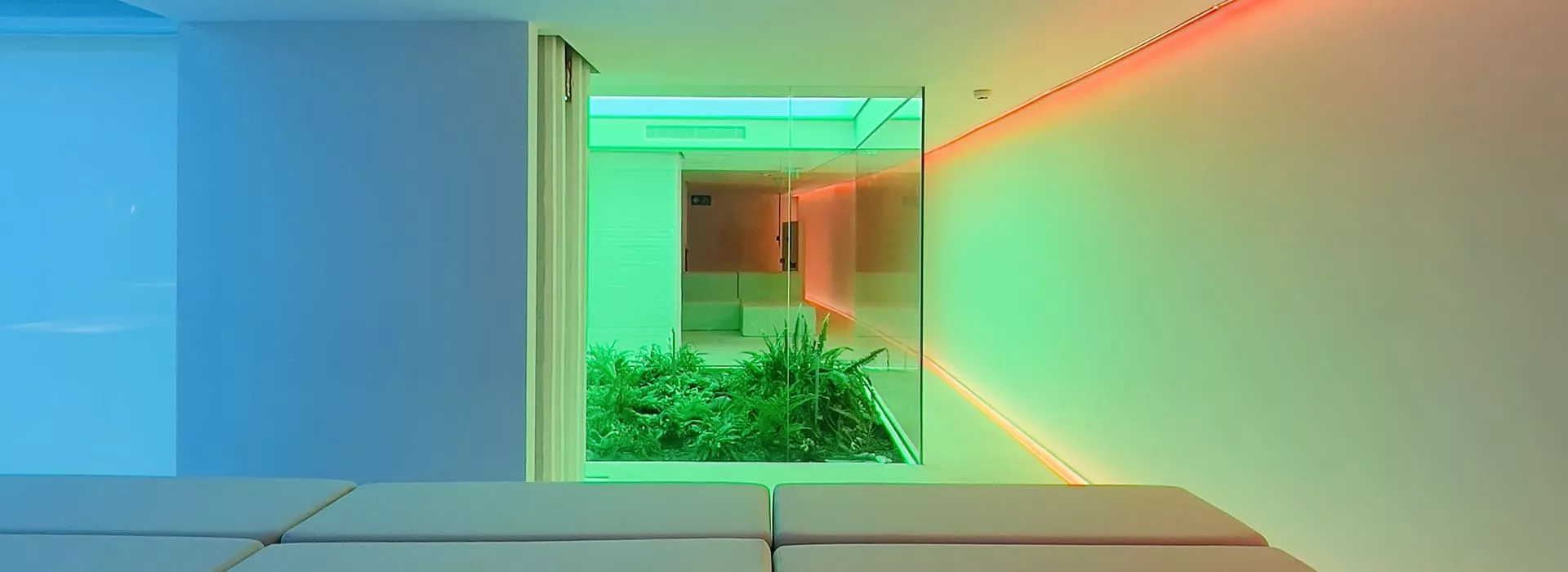 post_articulo_beatriz_borque_cabecera