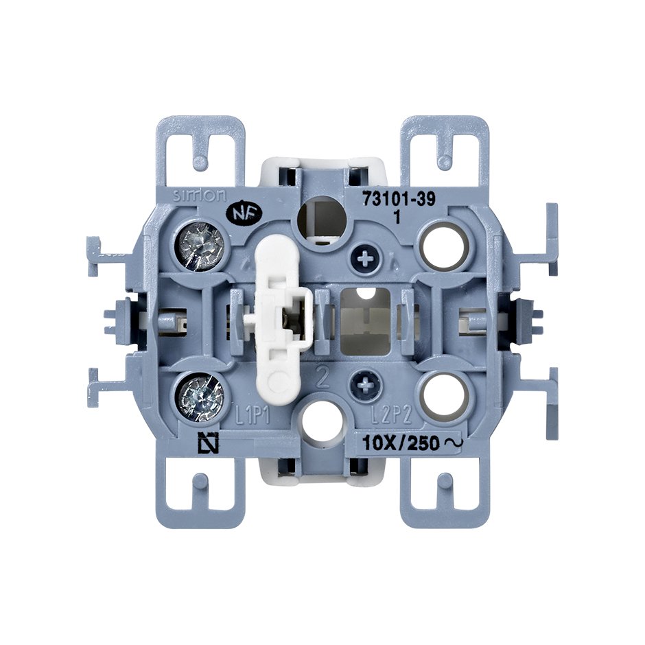 Single-pole switch 10AX 250V~ with screw terminal connection