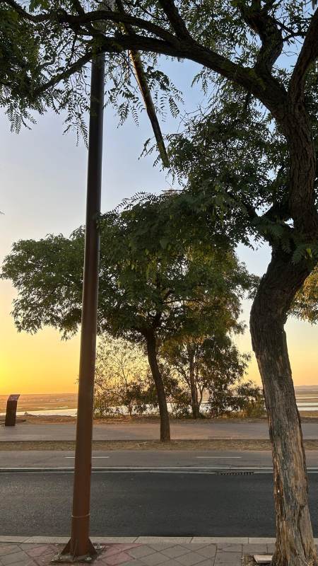 post-intervencion-huelva-campus-iluinacion-exterior_2