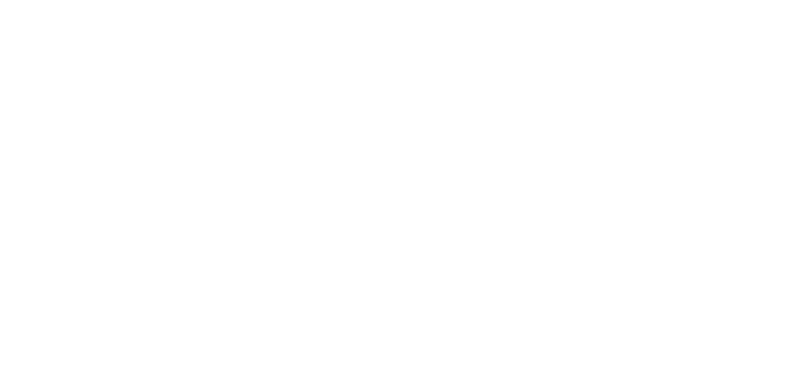 logo Simon