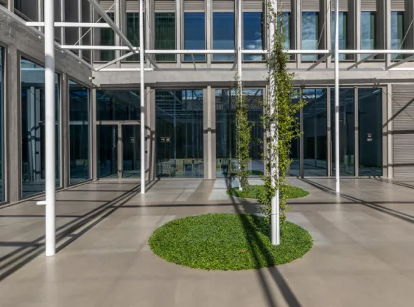 Well-being and Sustainability