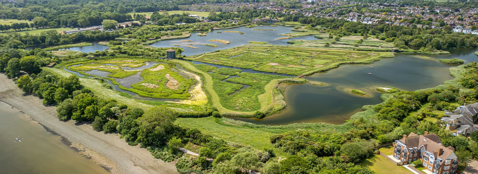 post_detailers_ciudad_esponja_cabecera