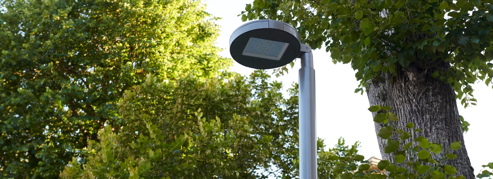 merak-outdoor-motor-luminico-cabecera