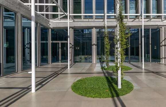 post_detailers_articulo_paisajista_maria_jover_switch_3