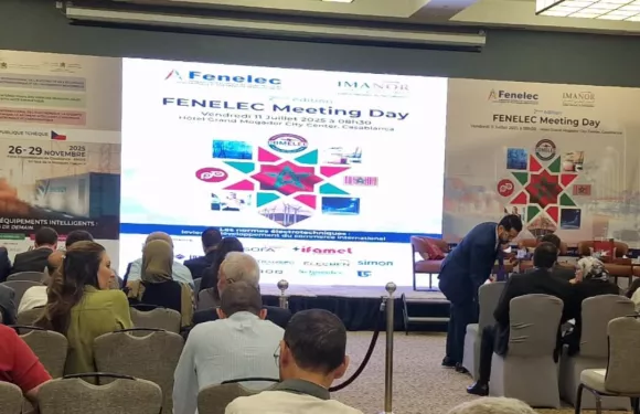 photo-fenelec_meeting_day_2025