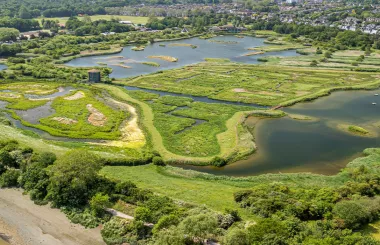 post_detailers_ciudad_esponja_cabecera