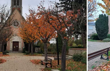 eglise-saint-denis_cabecera_blog_simon_lighting